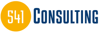 Blu541_consulting_logo