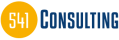 Blu541_consulting_logo